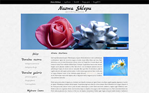 wzór gotowego sklepu