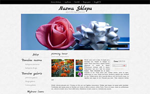 wzór gotowego sklepu