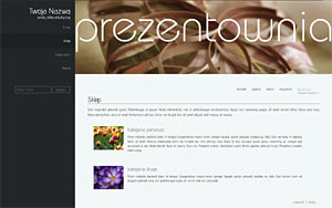 szablon sklepu internetowego