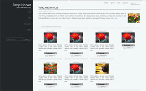 szablon sklepu internetowego