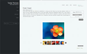 szablon sklepu internetowego