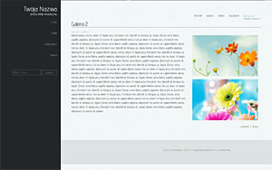 szablon sklepu internetowego