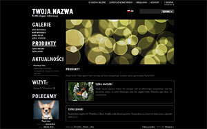 szablon sklepu internetowego