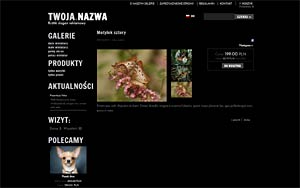 szablon sklepu internetowego