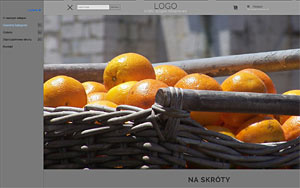 szablon sklepu internetowego