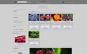 szablon sklepu internetowego