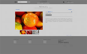 szablon sklepu internetowego