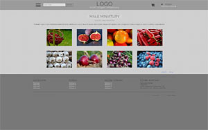 szablon sklepu internetowego