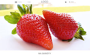 szablon sklepu internetowego