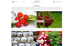 szablon sklepu internetowego