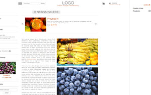 szablon sklepu internetowego