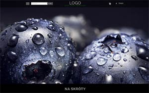 szablon sklepu internetowego