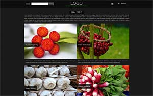 szablon sklepu internetowego