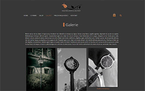 szablony sklepów internetowych