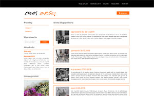 szablony sklepów internetowych