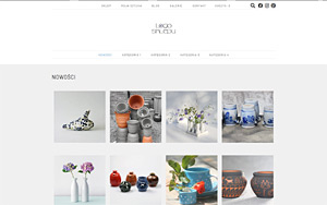 szablony sklepów internetowych