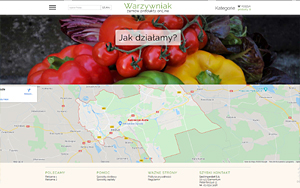 szablony sklepów internetowych