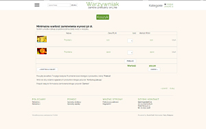 szablony sklepów internetowych