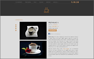 szablony sklepów internetowych