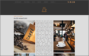 szablony sklepów internetowych