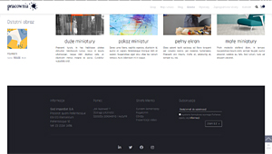 szablony sklepów internetowych