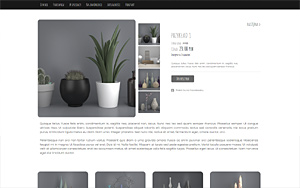 szablony sklepów internetowych