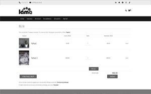 szablony sklepów internetowych