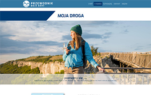 szablony sklepów internetowych