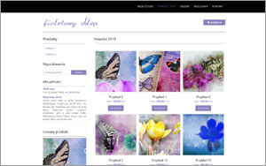 szablon sklepu internetowego