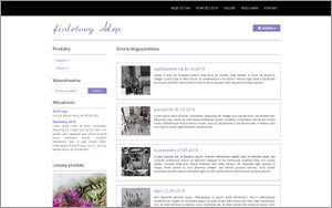 szablon sklepu internetowego